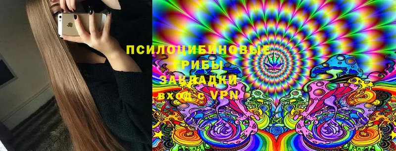 blacksprut ONION  Дивногорск  Галлюциногенные грибы MAGIC MUSHROOMS 